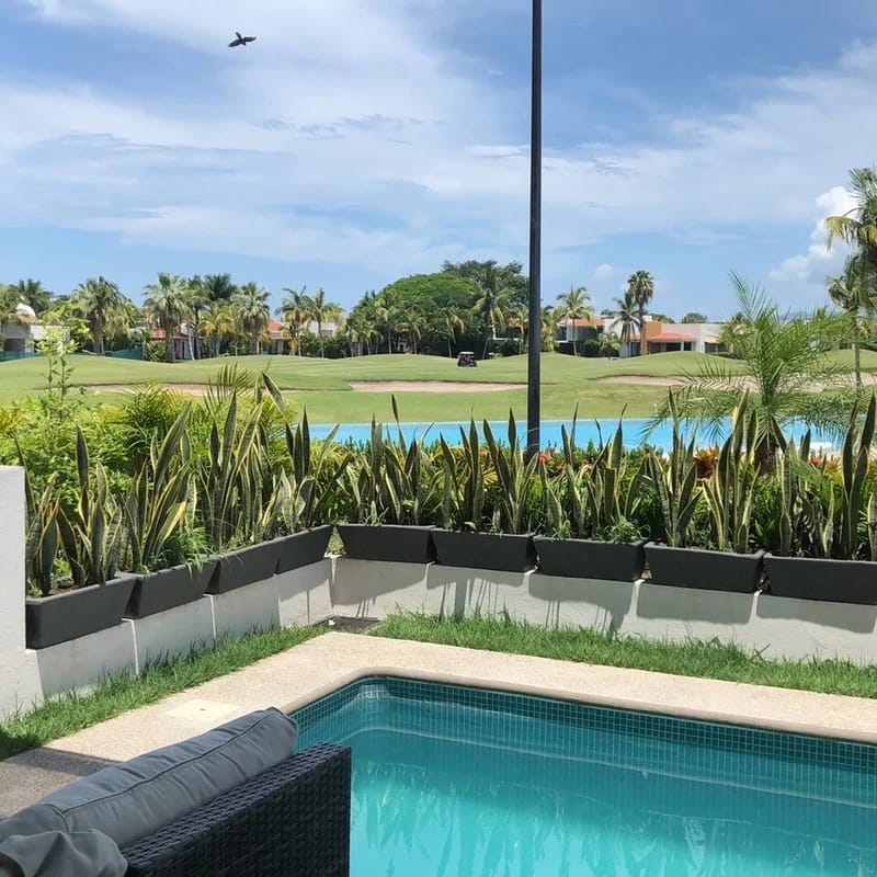El Tigre Country Club relaxation in Nuevo Vallarta